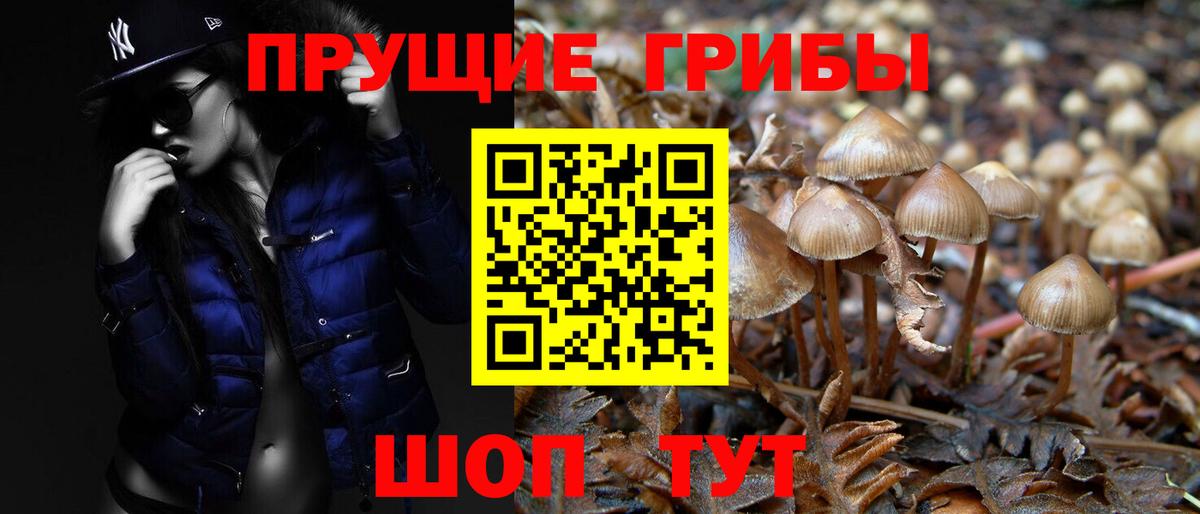 Псилоцибиновые грибы Cubensis  магазин  наркотиков  Гуково  Вход с VPN  Псилоцибиновые грибы ЛСД 